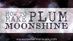 plums with the words how to make plum moonshine on it in black and white