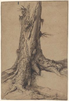 a drawing of a tree trunk with no leaves