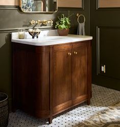 a bathroom sink with a mirror above it and a potted plant on the counter