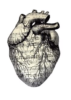 the human heart is shown in this black and white drawing, with musical notes on it