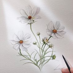 someone is drawing some flowers on the paper