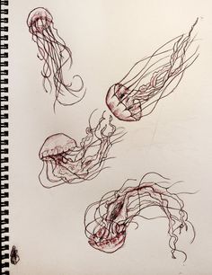 three drawings of jellyfish in various stages of being drawn by someone's hand