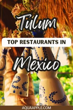 the top restaurants in mexico with text overlay that reads, tijura top restaurants in mexico