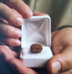 a person holding a small white box with a coffee bean in it