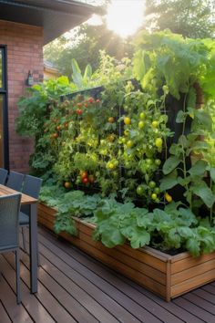 an outdoor garden with lots of plants growing on the wall and in the middle of it