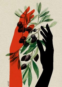 a hand holding an olive branch with green leaves and red ribbon around it, against a white background