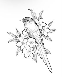 a bird sitting on top of a branch with flowers in the foreground and an outline drawing behind it