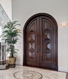 an entryway with two doors and a potted plant on the floor in front of it