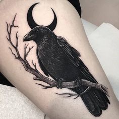 a black bird sitting on top of a tree branch with a crescent moon behind it