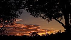 the sun is setting behind some trees