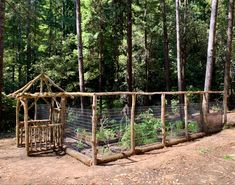 a wooden structure in the middle of a forest filled with trees and plants, surrounded by fencing