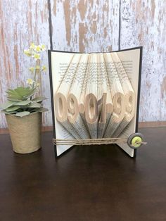 an open book with the word 2009 printed on it next to a potted plant