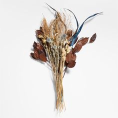 dried flowers and leaves on a white background