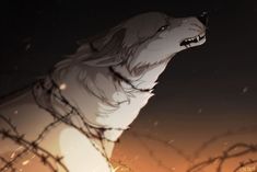 a white wolf with its mouth open standing in front of barbed wire and looking up at the sky