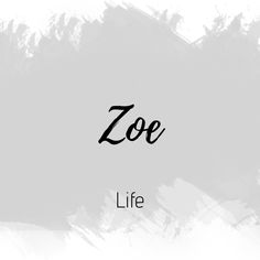 the word zoo life written in black ink on a white and gray background with brush strokes