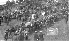 an old black and white photo of many people standing around with horses in the grass