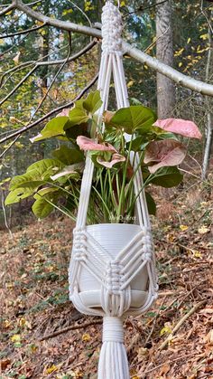 a white macrame planter hanging from a tree in the woods with green plants