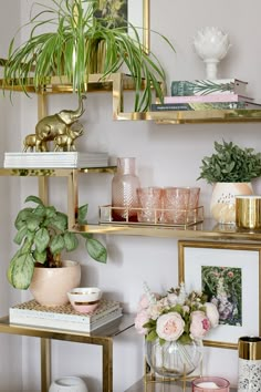 a living room filled with lots of plants and books on top of gold shelving