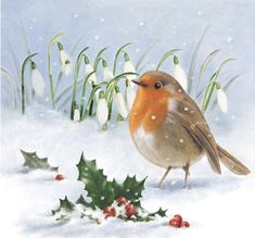 a painting of a bird standing in the snow next to holly berries and mists