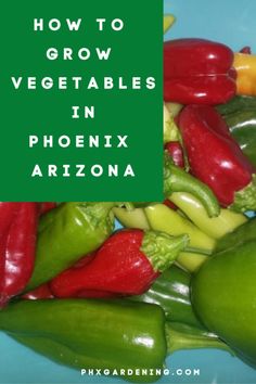 green and red peppers with the words how to grow vegetables in phoenix arizona on it