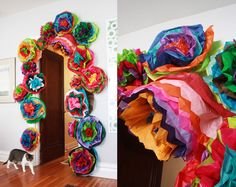 a cat standing in front of a mirror next to a colorful wreath on the wall