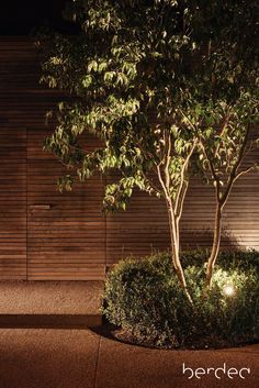 a tree in front of a building at night with the words bredea above it