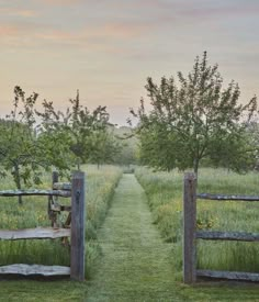 two wooden gates leading to an apple tree lined path in the middle of a field