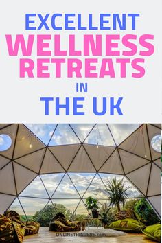 the inside of an igloose with text that reads excellent wellness treats in the uk