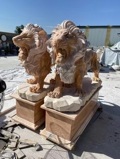 two lion statues sitting on top of wooden boxes