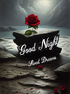 a red rose sitting on top of a rock next to the ocean with words good night sweet dreams