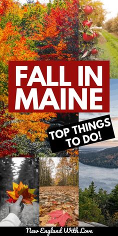 fall in maine with the words top things to do on it and photos of autumn trees