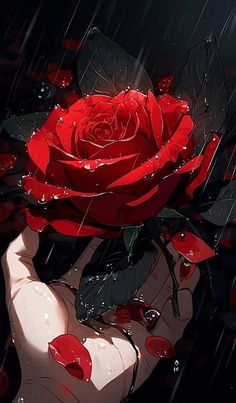 a person holding a red rose in their hand with water droplets on it and the background is black