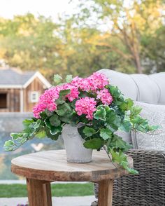 Artificial Pink Geraniums in Outdoor Planter Outdoor Hanging Baskets, Fake Flowers Decor, Geranium Plant, Pink Geranium, Fake Hydrangeas, Geranium Flower, Artificial Flowers And Plants, Silk Plants, Outdoor Flowers