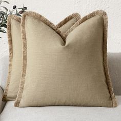 two pillows on a couch with a plant in the background