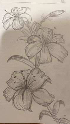 a drawing of some flowers on a piece of paper with pen and ink in it