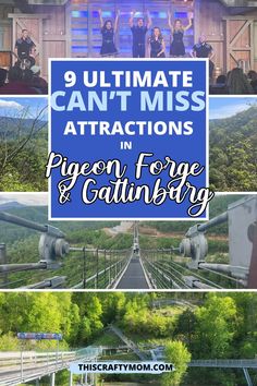 the ultimate guide to getting married in pigeon - fong and catinboyy