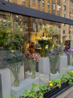 many different types of flowers are in vases on the window sill, and there is no image here to provide a caption