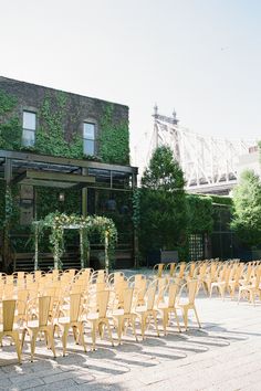 rows of wooden chairs lined up in front of a building with ivy growing on it