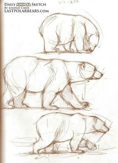 three polar bears are depicted in this drawing