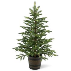 a small christmas tree in a pot with lights