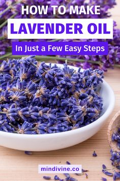 lavender oil in a white bowl with the title how to make lavender oil in just a few easy steps