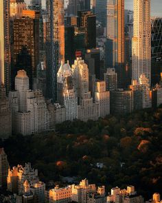 an aerial view of new york city with skyscrapers in the foreground and trees on the other side