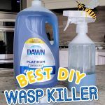 the best diy wasp killer is on display in this kitchen countertop shot