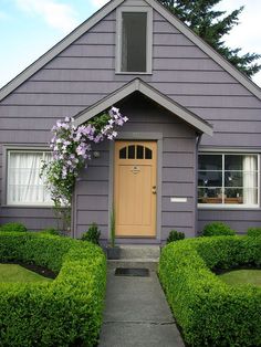 a purple house with a yellow door surrounded by trimmed hedges and bushes in front of it