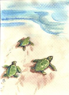 three green turtles are walking on the sand at the ocean's edge, drawing by watercolor