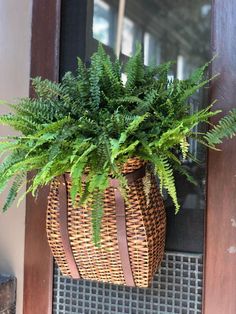 a plant in a wicker basket hanging on a door