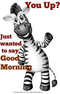 a zebra with the words just wanted to say good morning