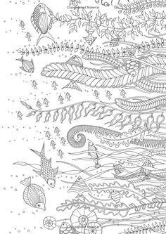 an image of a coloring page with many different things in the water and plants on it