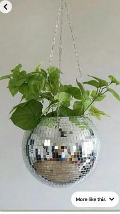 a mirror ball hanging from a chain with plants in it and leaves on the bottom