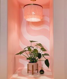 a potted plant sitting on top of a wooden table next to a light fixture